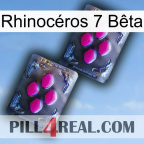 Rhinocéros 7 Bêta 01